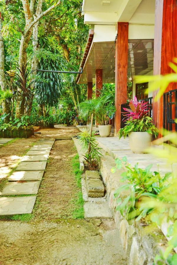 Maleesha Homestay Ella Ngoại thất bức ảnh